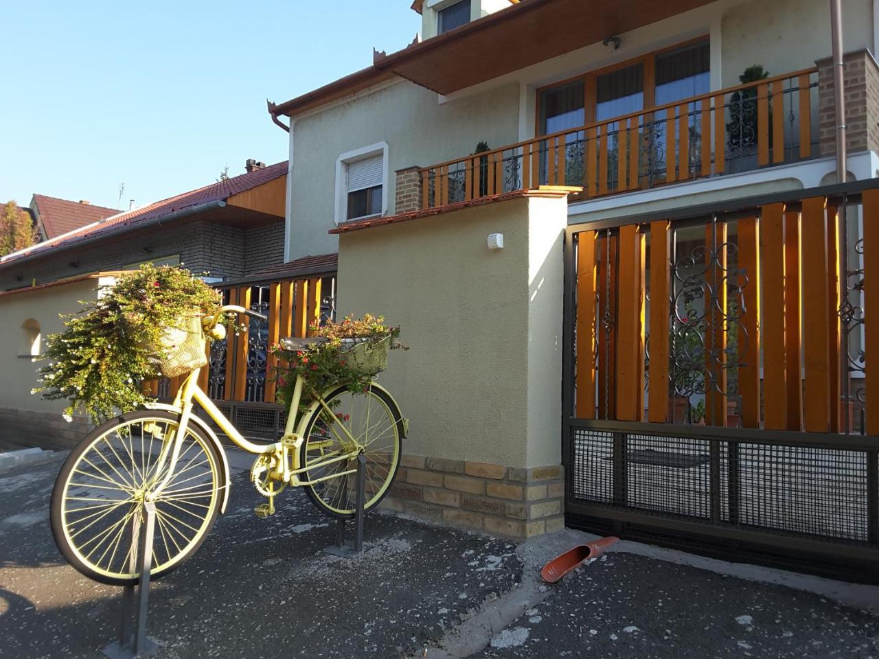 Eurovelo6 Stop Solt 외부 사진